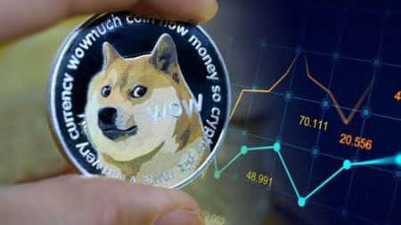 Should One Take Dogecoin Seriously, or It's Just an Investment Craze